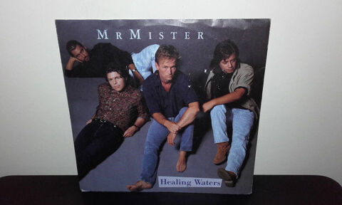 Mr. Mister : Healing Waters / Control (Fra Single) 5 Angers (49)
