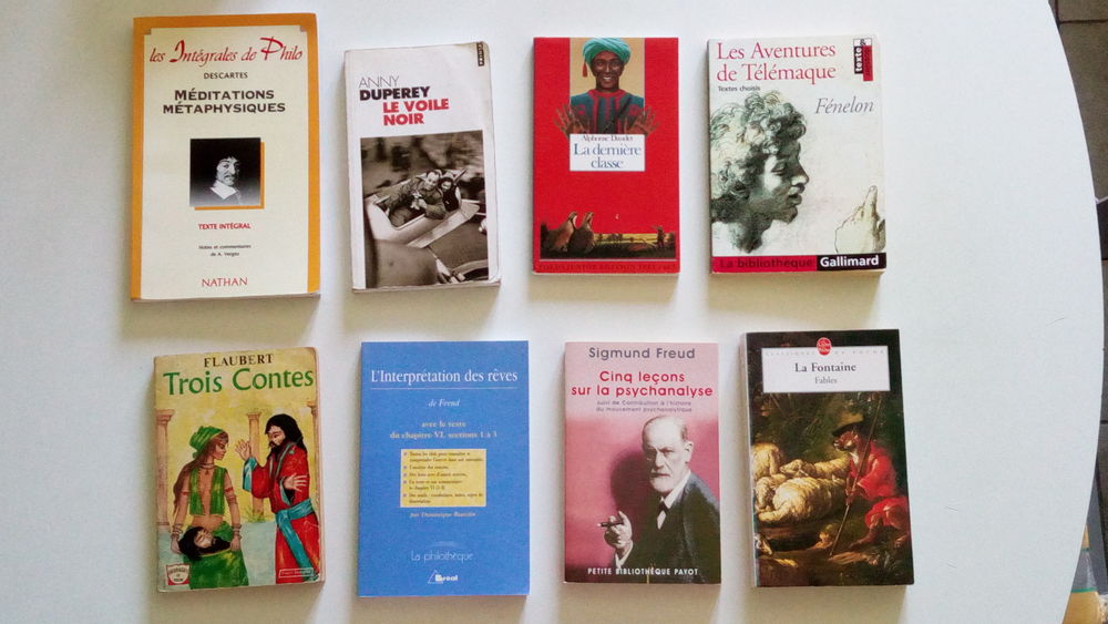 Lots de livres coll&egrave;ge, lyc&eacute;e ou fac de lettres Livres et BD
