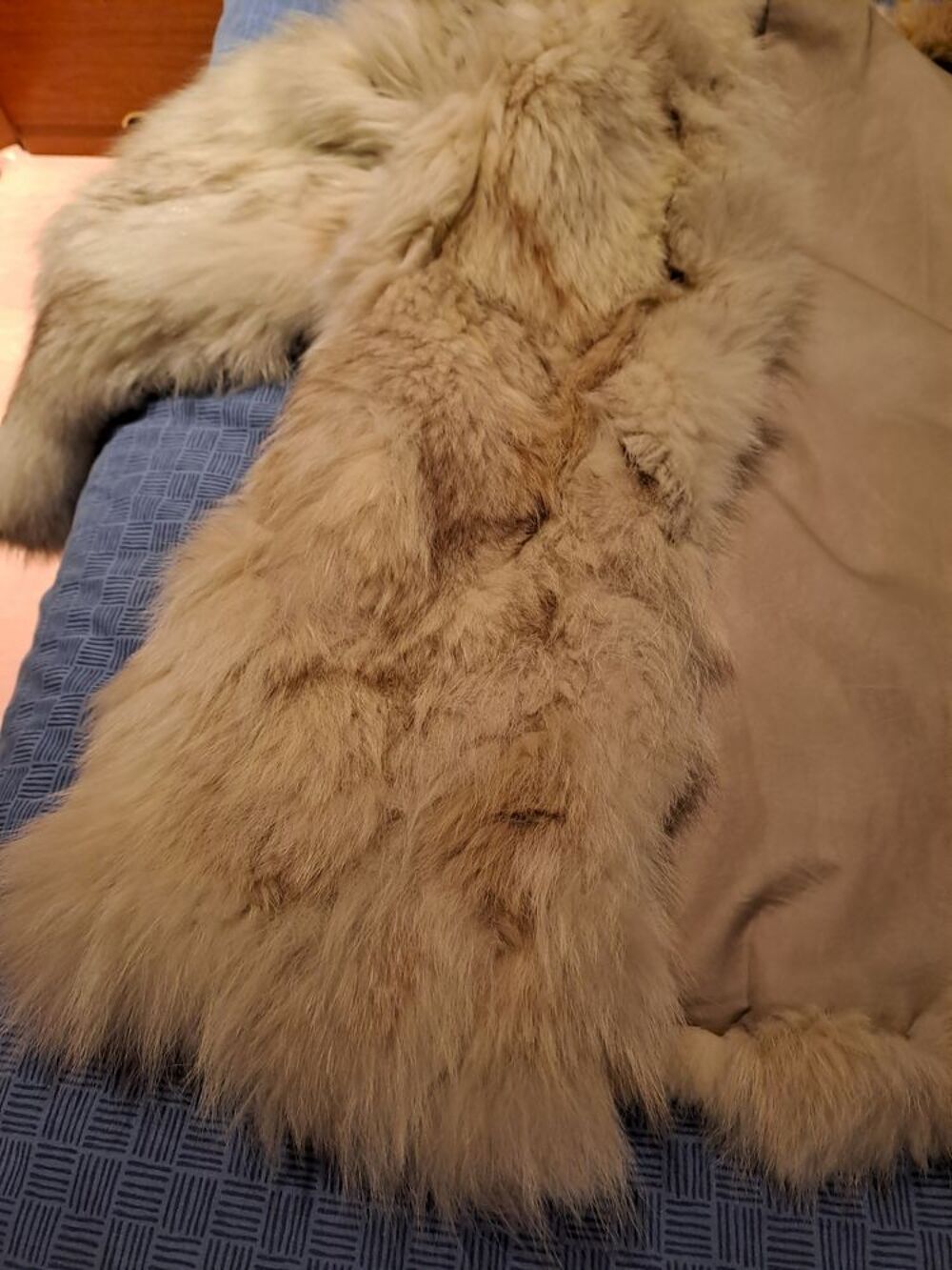 Veste en fourrure Vêtements