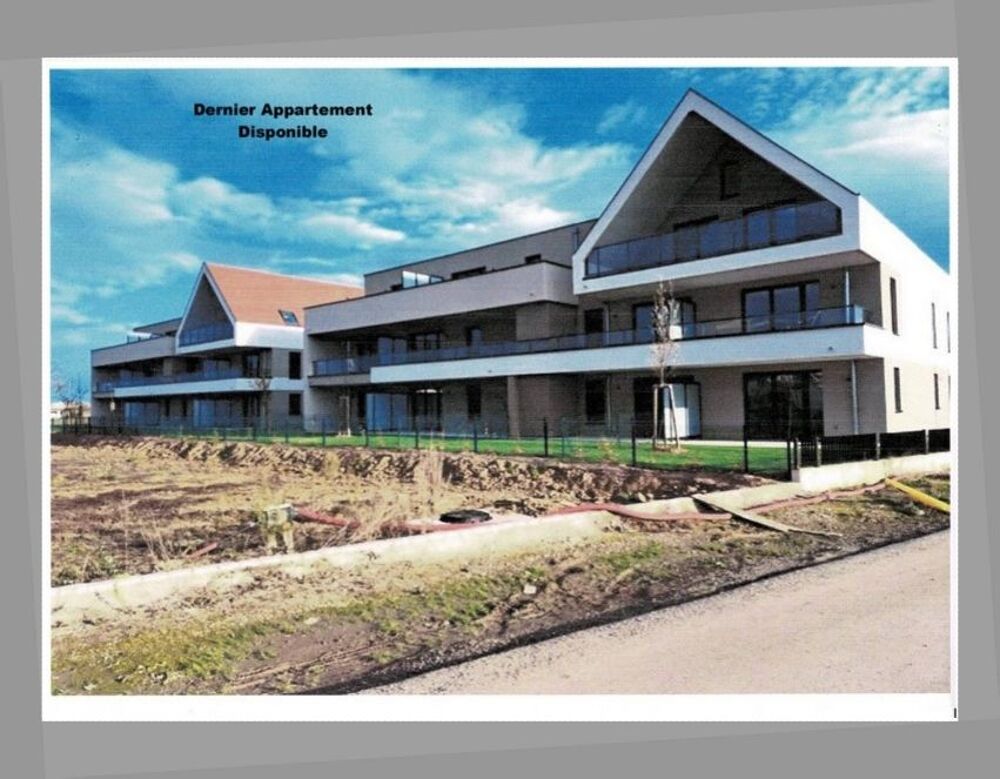 Location Appartement Location appartement 4 /5 pièces OBERSCHAEFFOLSHEIM Oberschaeffolsheim