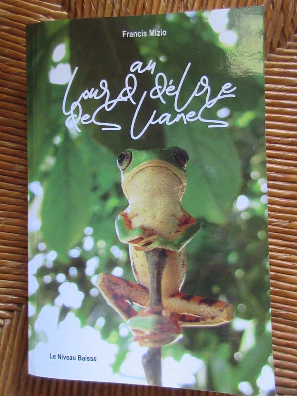 Le lourd d&eacute;lire des lianes de Francis Mizio Livres et BD