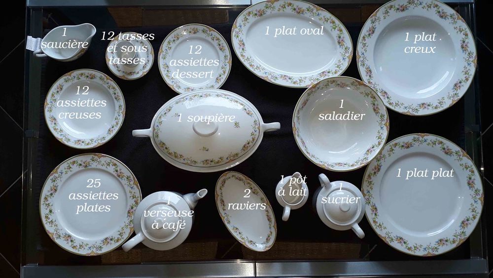 Service De Table En Porcelaine De Couleuvre Décoration