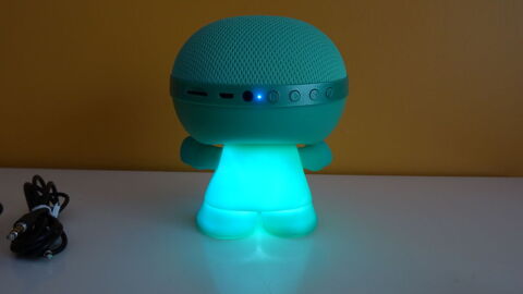 Enceinte sans fil 5 Vannes (56)