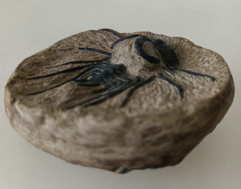 Fossile TRILOBITE sur gangue
