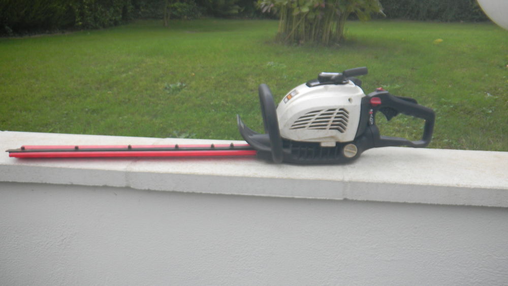 Taille haie thermique ALPINA Jardin