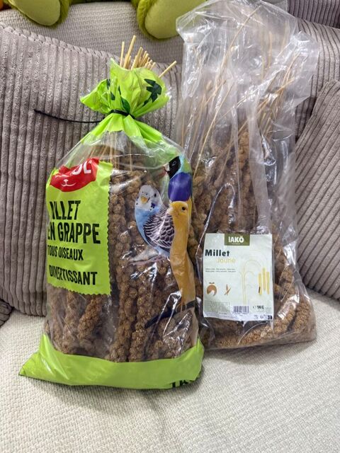 Graine millet oiseaux 10 93330 Neuilly-sur-marne