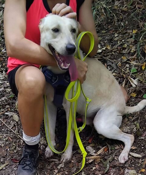 ✨️ FRANKLIN ✨️ 290 95100 Argenteuil