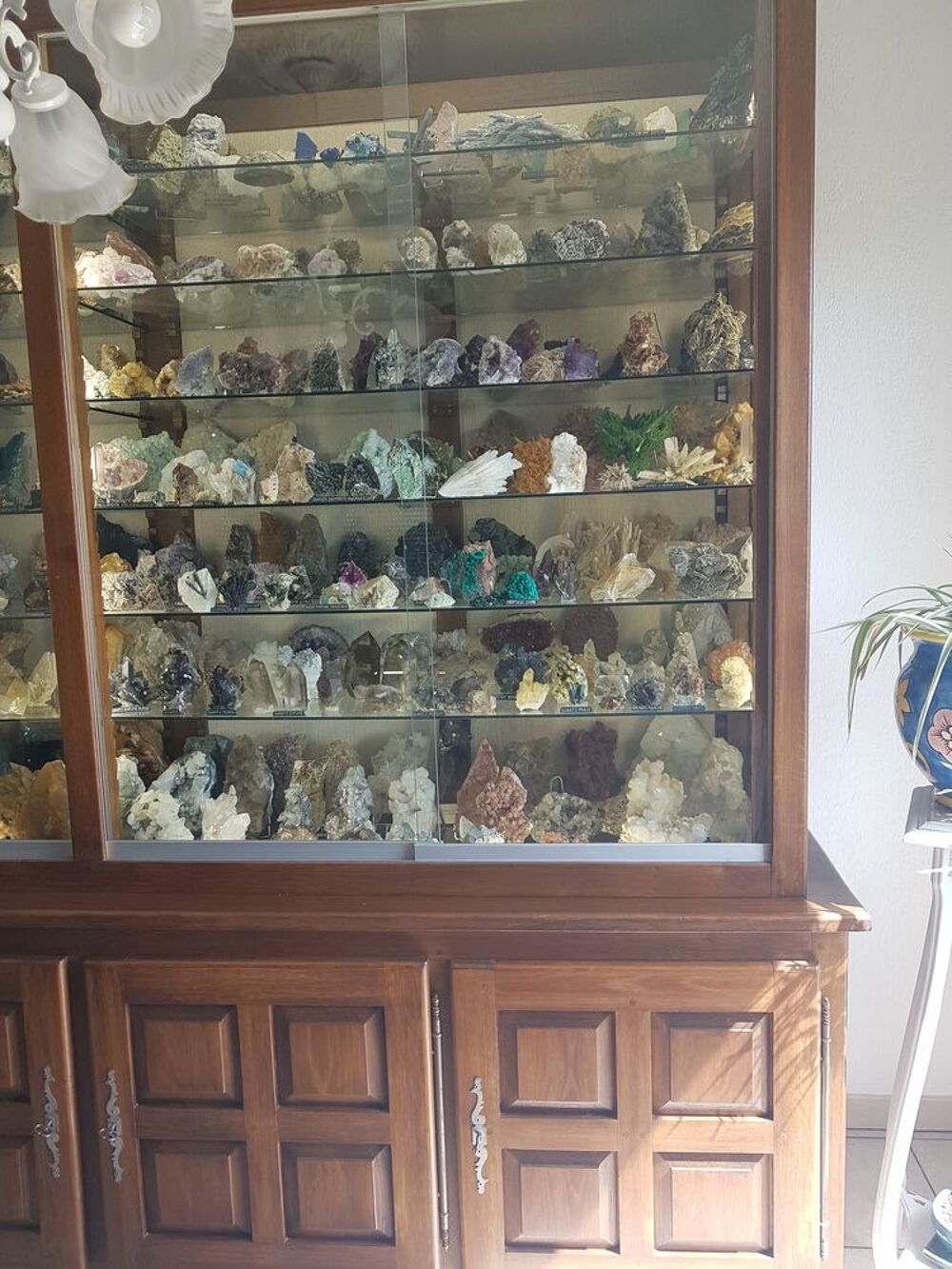 Vitrine min&eacute;raux garnie 