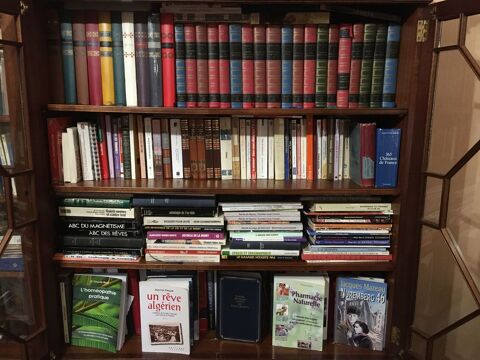 Lot de livres divers 1 Saint-Ferréol-Trente-Pas (26)