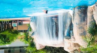 Location  Appartement 