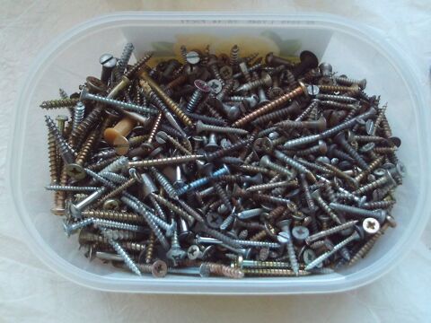 Lot de 1,7 kg de vis 30 Villeurbanne (69)