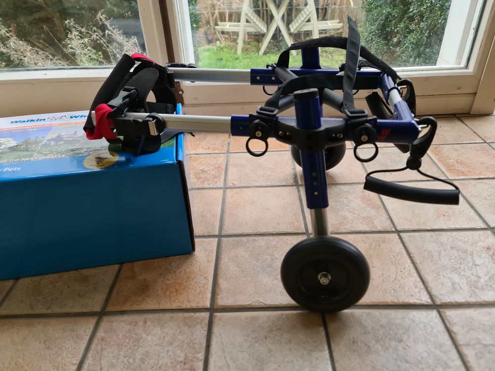   Chariot pour chien handicaps  