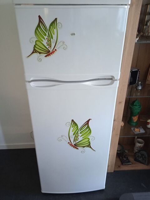 frigo grand fraiseur  100 Marbache (54)