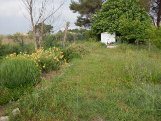  Terrain à vendre 850 m²
