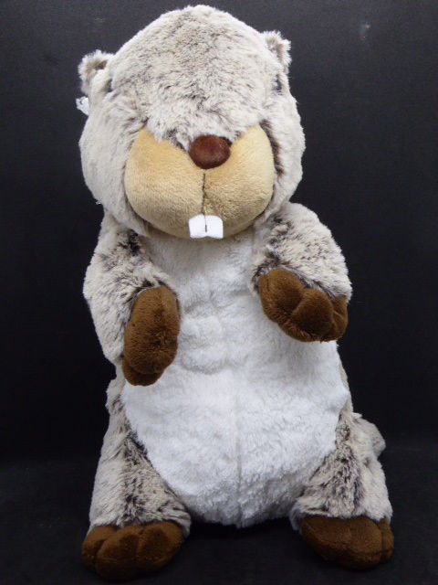 Histoire d'ours Marmotte HO2483 35 cm 12 Rueil-Malmaison (92)