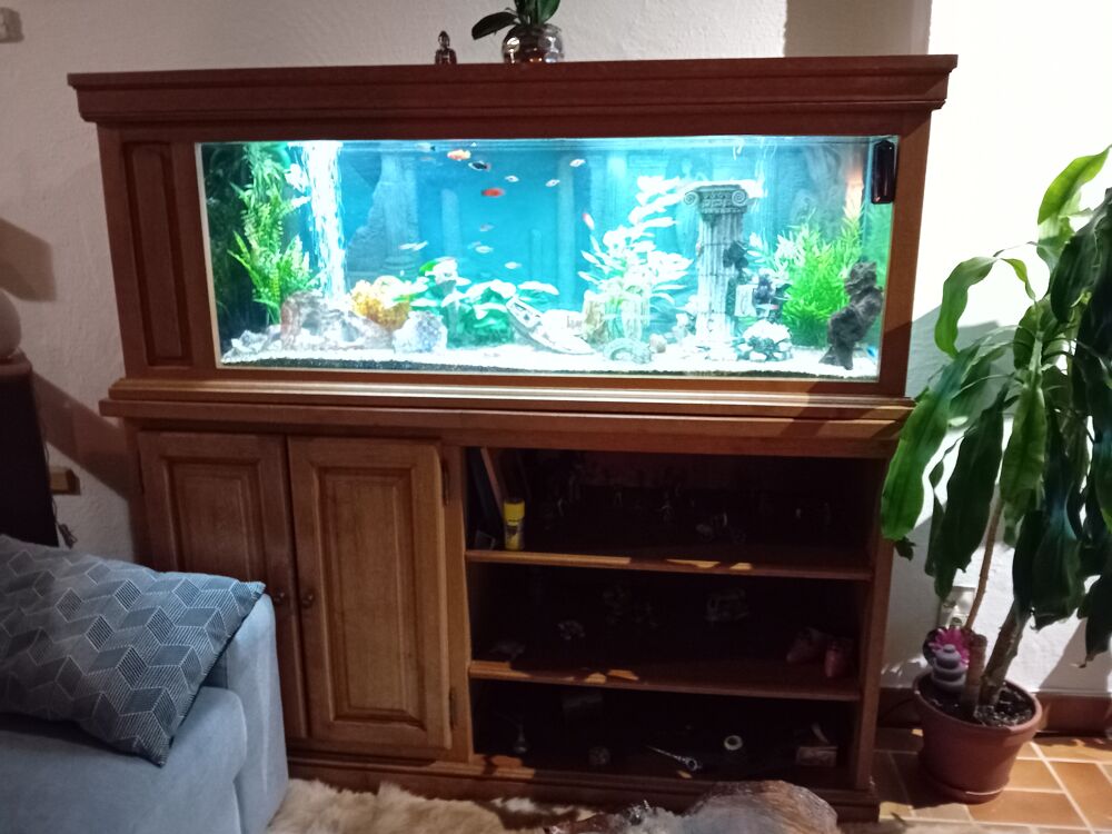 Aquarium Décoration