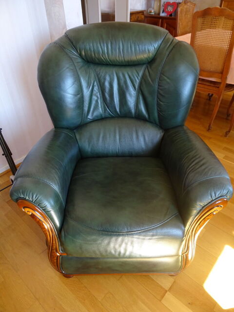 2 fauteuils cuir vert 150 Saint-Chamond (42)