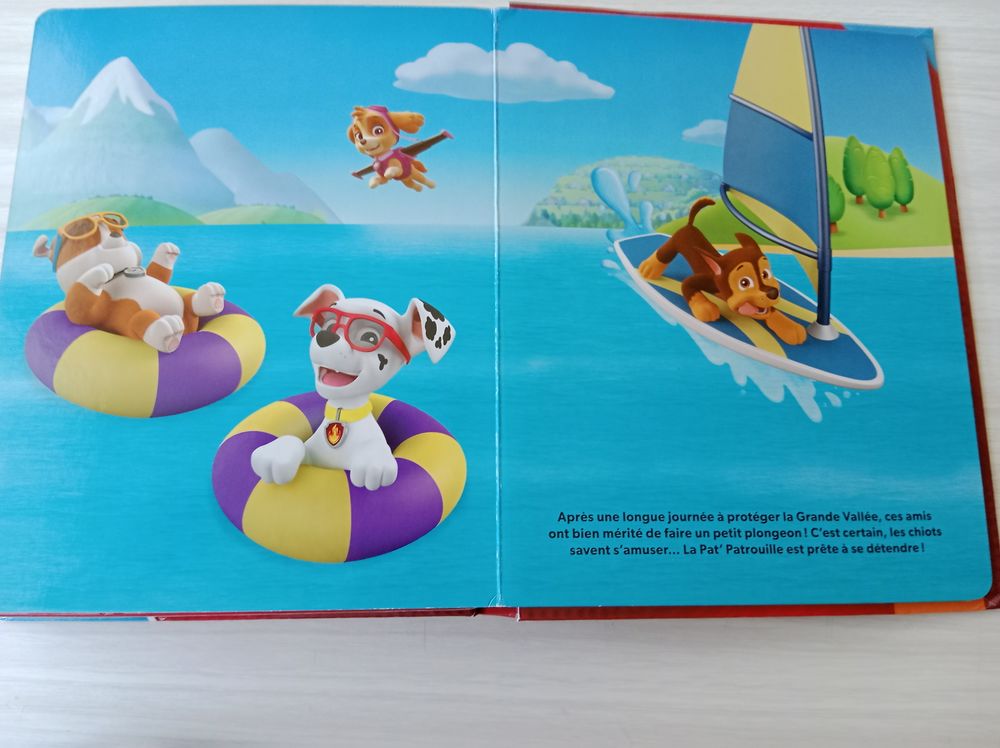 PAW PATROL Contes en Blocs Jeux / jouets