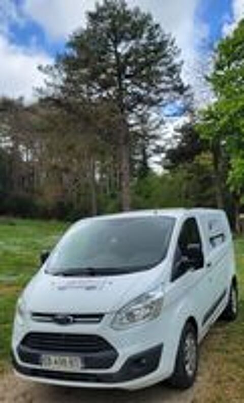   Ford Custom utilitaire de 2016 