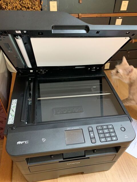 Imprimante brother laser 4 en 1 moins de 100 copies
270 Saligny (89)