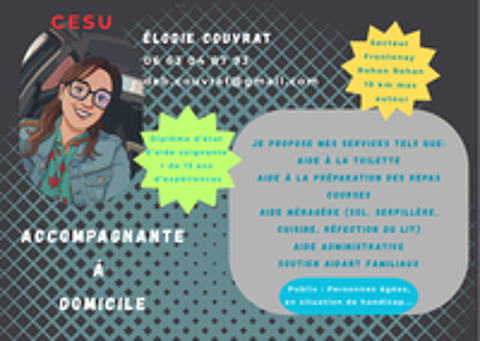   Accompagnante à domicile (Diplôme d'état d'Aide Soignante)  