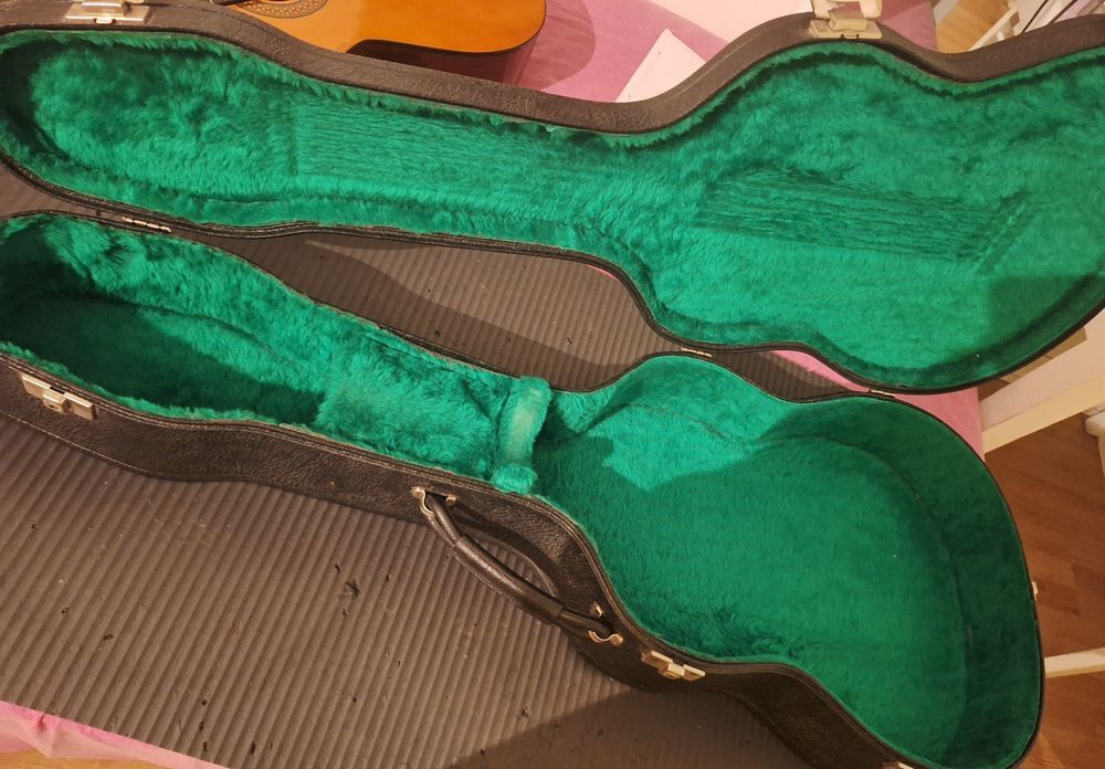 Bo&icirc;tier rigide de transport guitare a cl&eacute; Instruments de musique