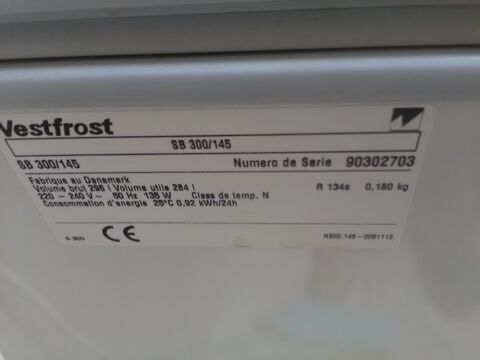 CHEMINEE PIERRE DU GARD ET iNSERT 490 Pont-de-l'Is�re (26)