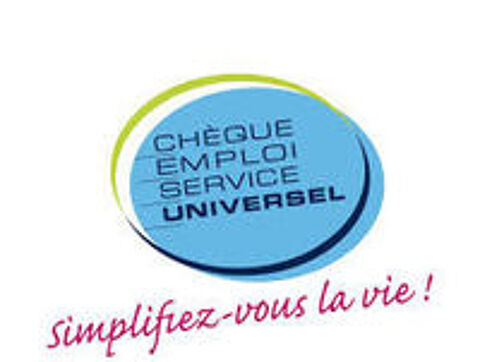   Dame de compagnie / Accompagnatrice  domicile 