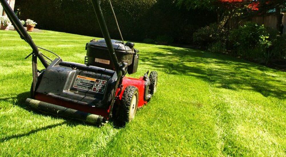  Jardinage et Bricolage 
