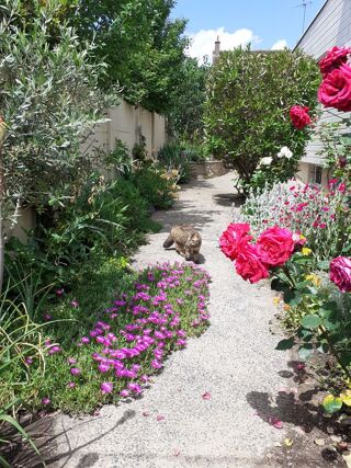  Maison � vendre 6 pi�ces 121 m�