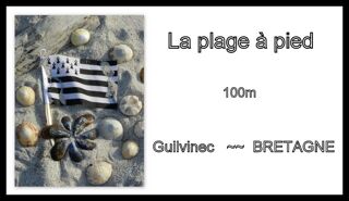 Location  Maison - Villa 