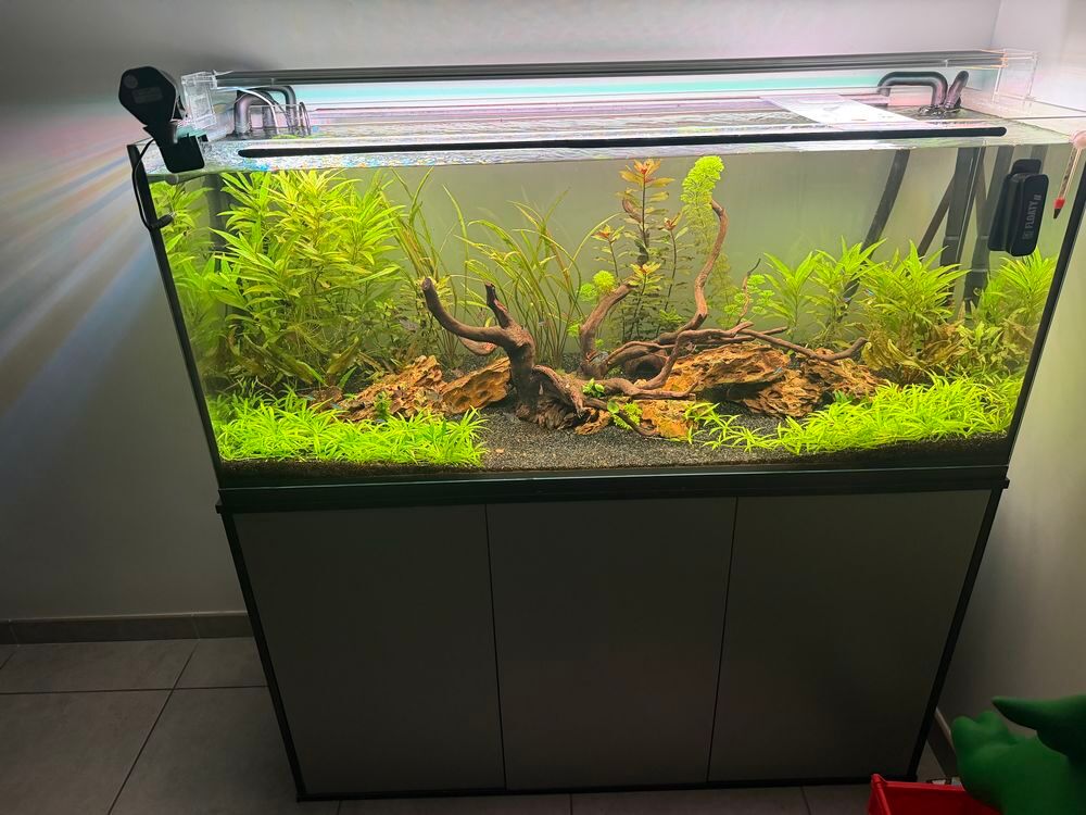   Aquarium 240L brut quasi neuf  