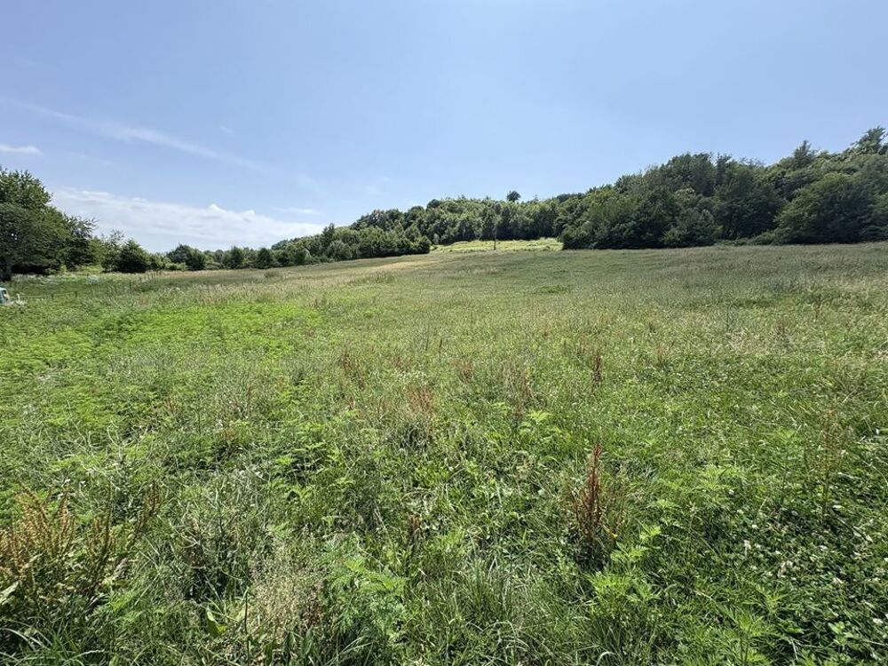 Vente Maison Propriété - 130m ² Meyssies