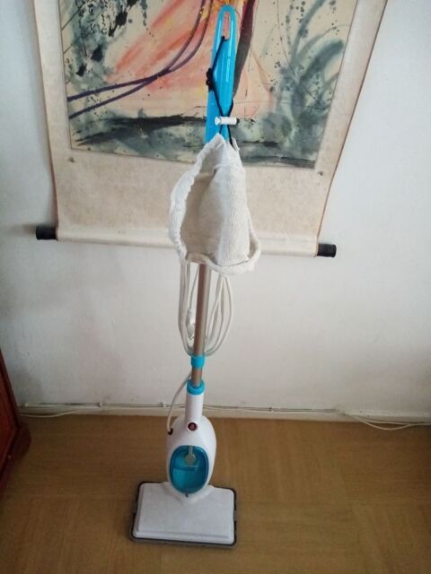 Balai vapeur 50 Le Loroux-Bottereau (44)