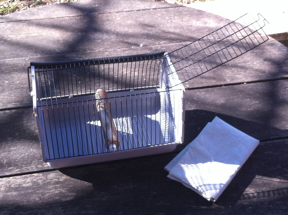 TROIS CAGES POUR OISEAUX, plus table et accesoires Meubles