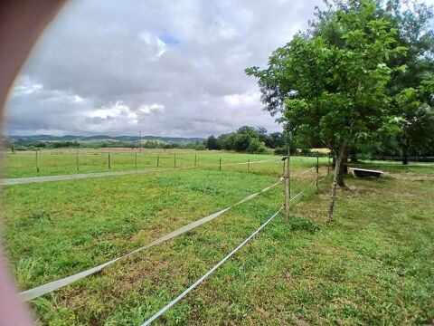 Recherche hongre, jument ou poney D 0 32260 Seissan