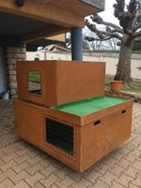   Caisse pour transport de chien 