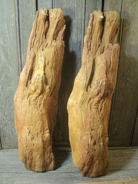 Moulage Bois Fossile Appliques Murales D�coration � Poser 1 Loches (37)