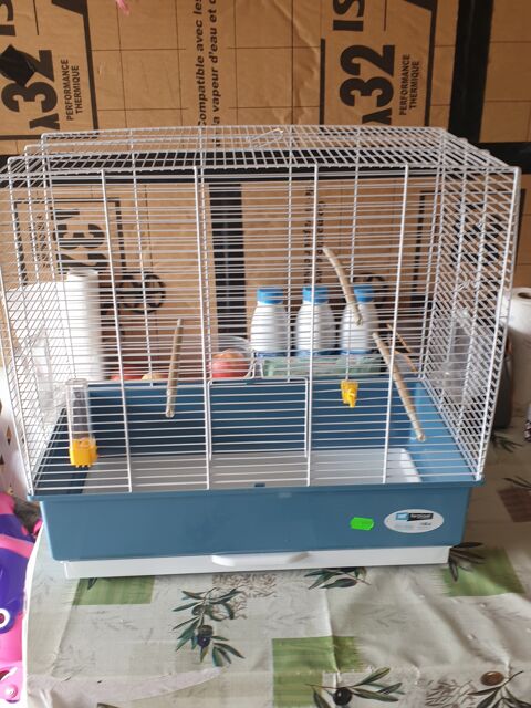 Cage 60 35500 Saint-m'herv