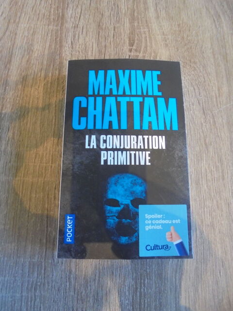 La conjuration primitive (97) 4 Tours (37)