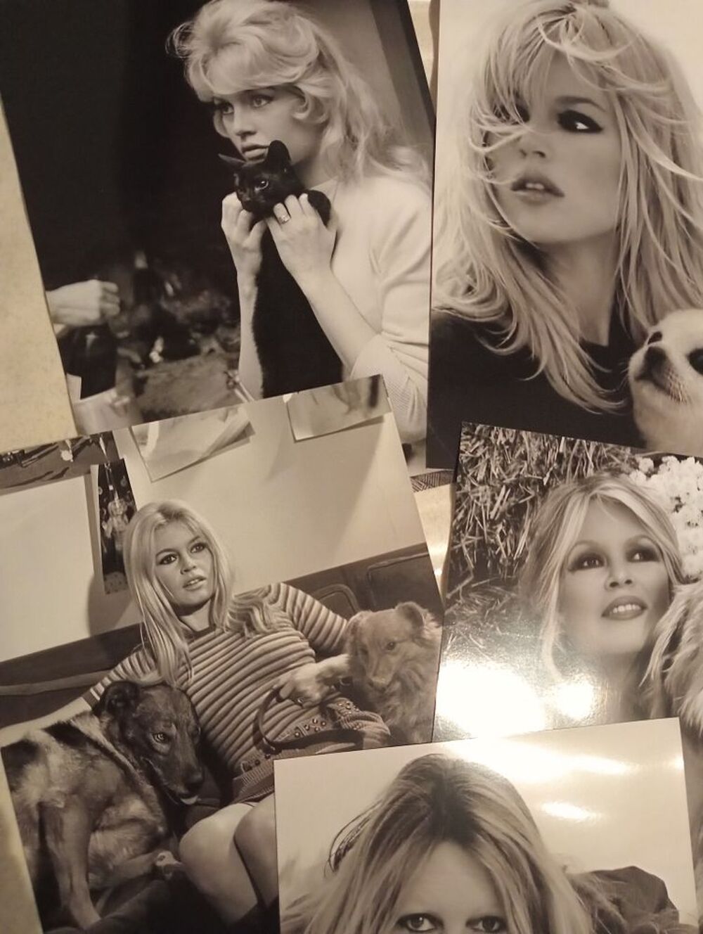 Brigitte bardot cinema cd dvd photos DVD et blu-ray