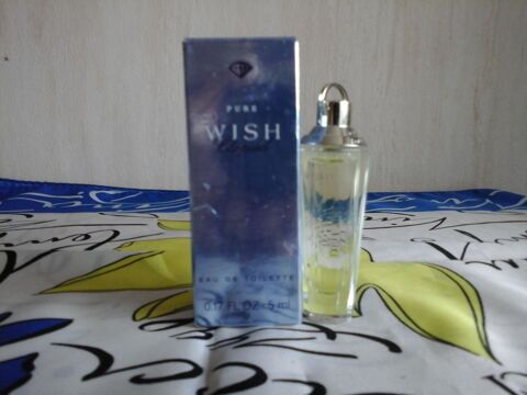 MINIATURE DE PARFUM 6 Trouy (18)