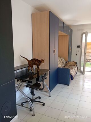  Appartement à louer 1 pièce 28 m²