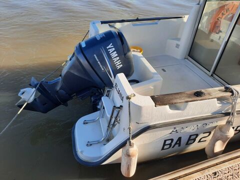 Bateaux &agrave; moteur P&ecirc;che-promenade 2000 occasion Bayonne 64100