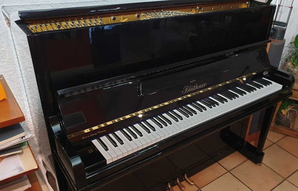 Bl&uuml;thner Mod&egrave;le A-124 Instruments de musique