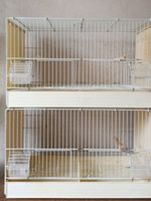   Cages d'élevage canari  