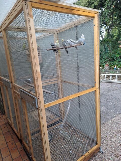 oiseaux + voliere 300 84420 Piolenc