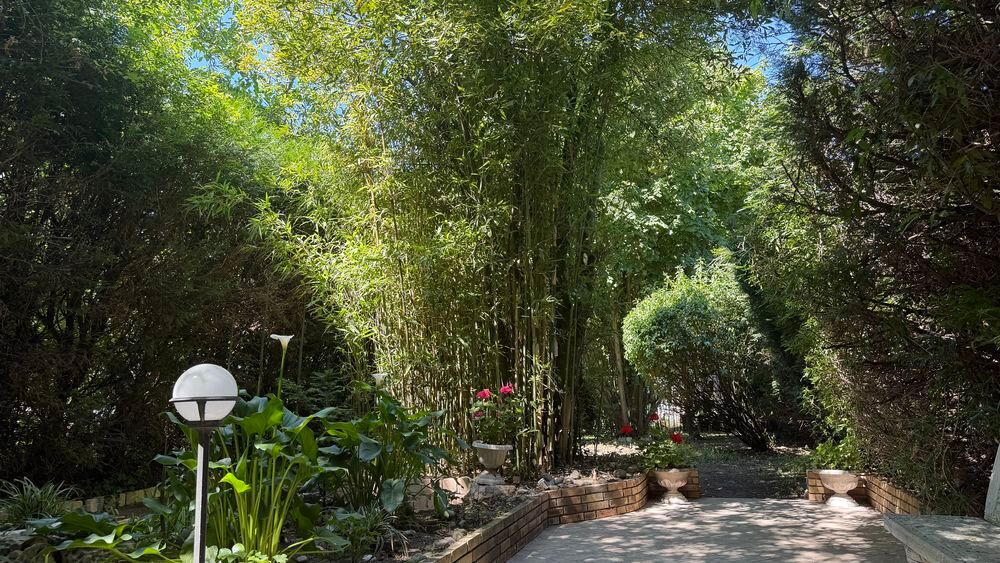 Vente Maison BIEN D'EXCEPTION 265 m².sous-sol 100 m²(HSP3m) jardin 669 m2 Bondy