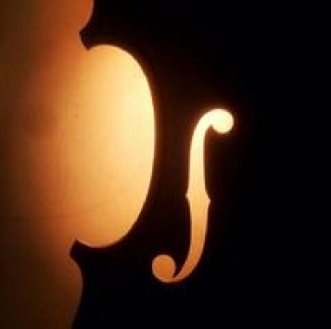   Cours de violon et/ou formation musicale 