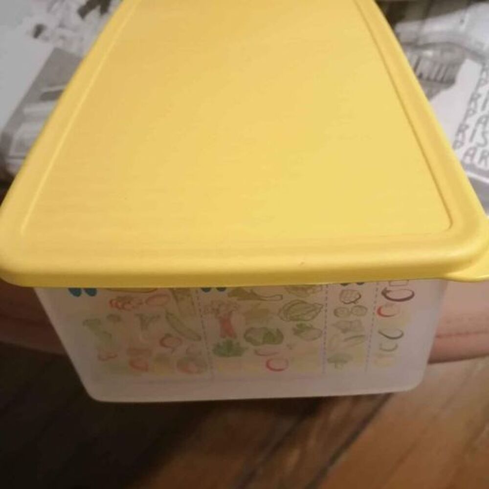BO&Icirc;TES PLASTIQUES FRIGO POUR LEGUMES Cuisine